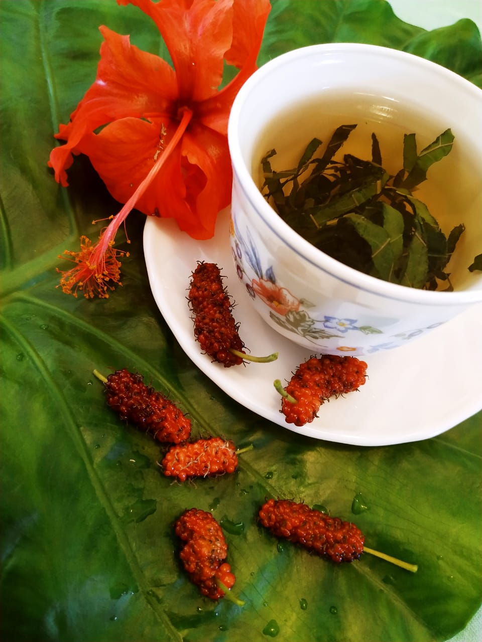 Mulberry Leaf Tea