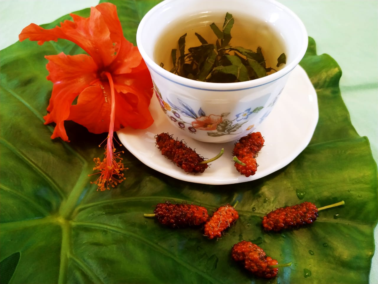 Mulberry Leaf Tea