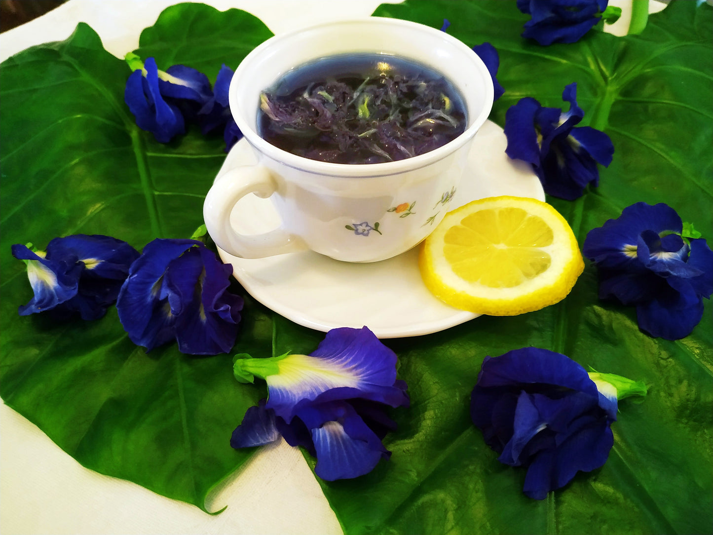 Butterfly Pea Blue Tea